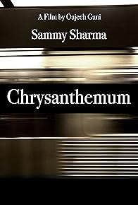 Primary photo for Chrysanthemum
