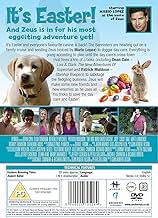 पोस्टर देखें