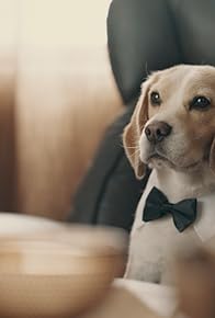 Primary photo for Best Man, Worst Plan