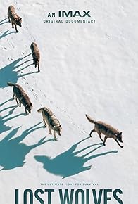 Primary photo for Lost Wolves of Yellowstone