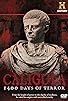 Primary photo for Caligula: 1400 Days of Terror Primary photo for Caligula: 1400 Days of Terror