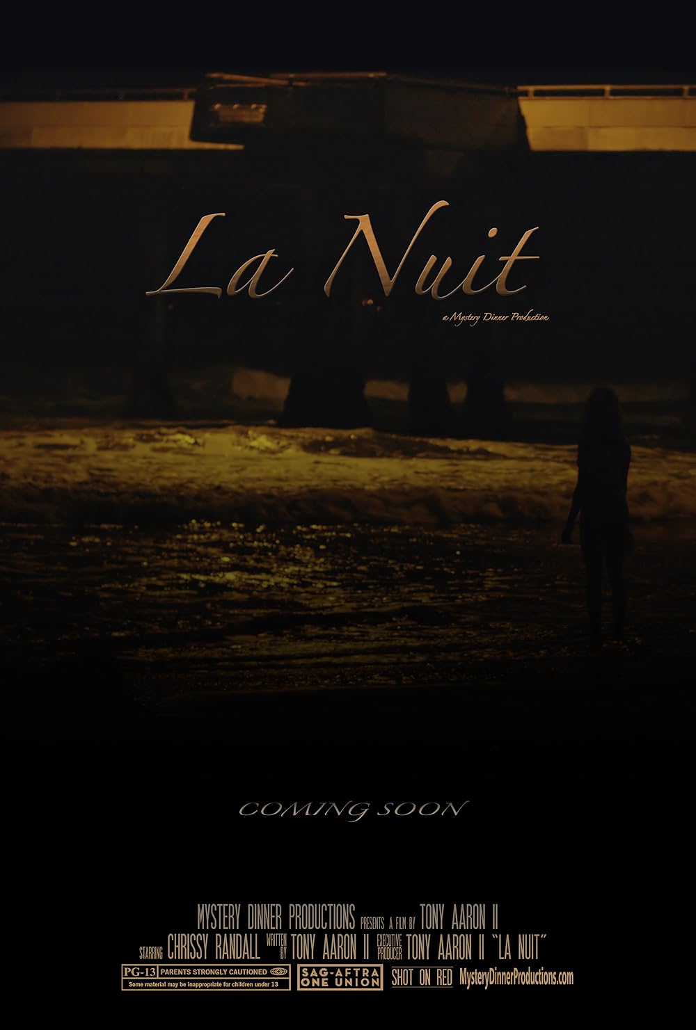 La Nuit (Short 2013) - IMDb