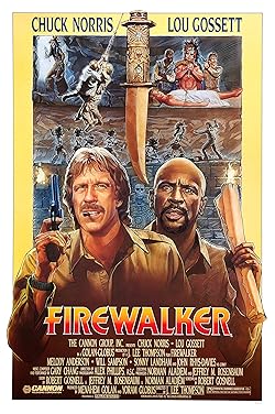 Poster of Firewalker