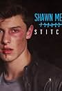 Shawn Mendes in Shawn Mendes: Stitches (2015)