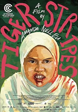 Poster of Tiger Stripes