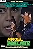 Primary photo for Angel Molave