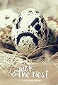 Jack and the Nest's primary photo