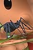 Primary photo for The Redback Spider Primary photo for The Redback Spider