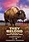 They Belong - The Return to Banff National Park - Bison Return from the Edge of Extinction's primary photo