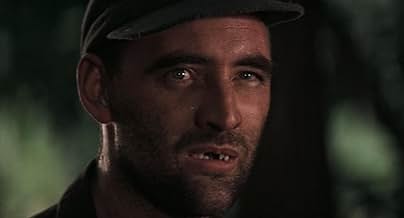 पोस्टर देखें