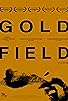 Primary photo for Goldfield Primary photo for Goldfield