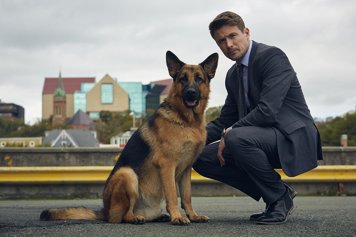 Hudson & Rex" Fearless Freaks (TV Episode 2019) - IMDb