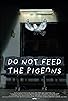 Primary photo for Do Not Feed the Pigeons