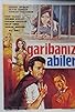 Primary photo for Garibaniz abiler