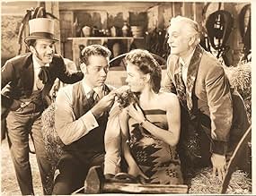 पोस्टर देखें