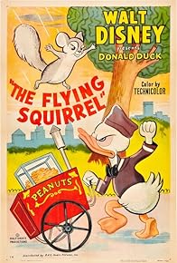 Primary photo for The Flying Squirrel