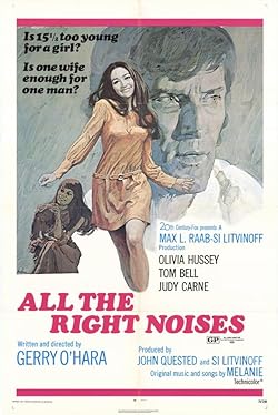 Poster of All the Right Noises