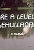 Primary photo for Mire a levelek lehullanak... Primary photo for Mire a levelek lehullanak...