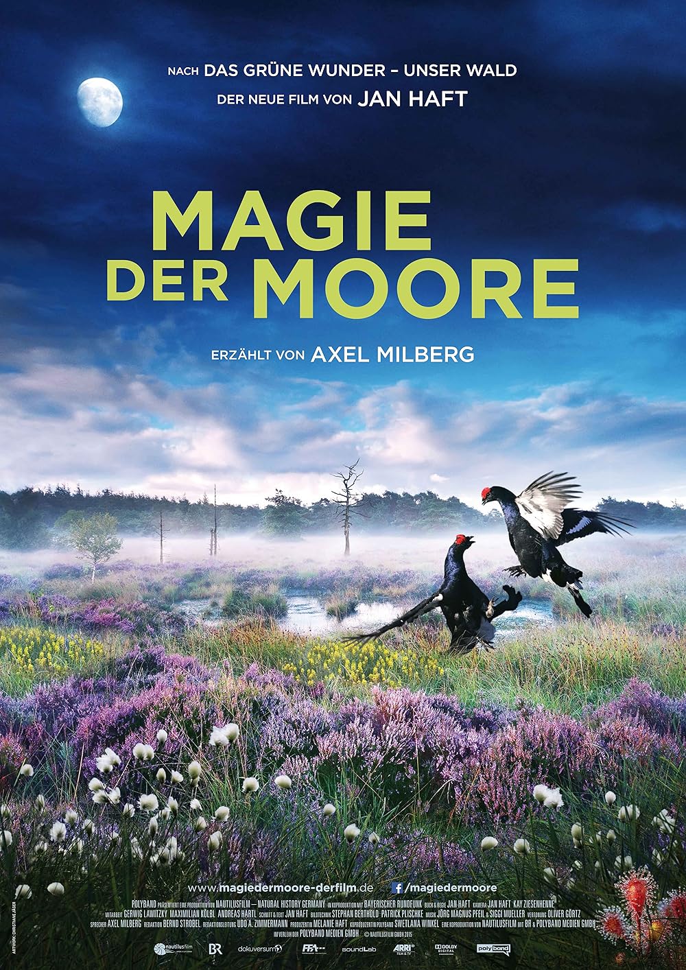 MV5BOGUzYjE0OGItN2RiZC00ZjdlLT