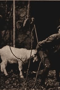 Primary photo for Kelly from the Emerald Isle