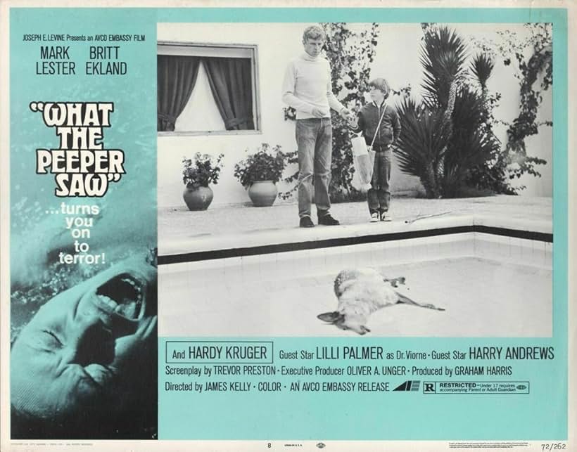 What the Peeper Saw (1972)