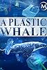 Primary photo for A Plastic Whale