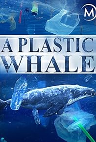 Primary photo for A Plastic Whale Primary photo for A Plastic Whale