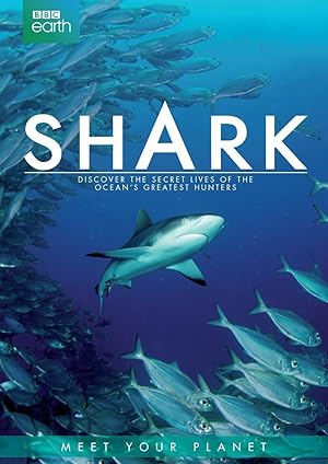 Shark Poster
