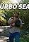 Turbo Sean's primary photo