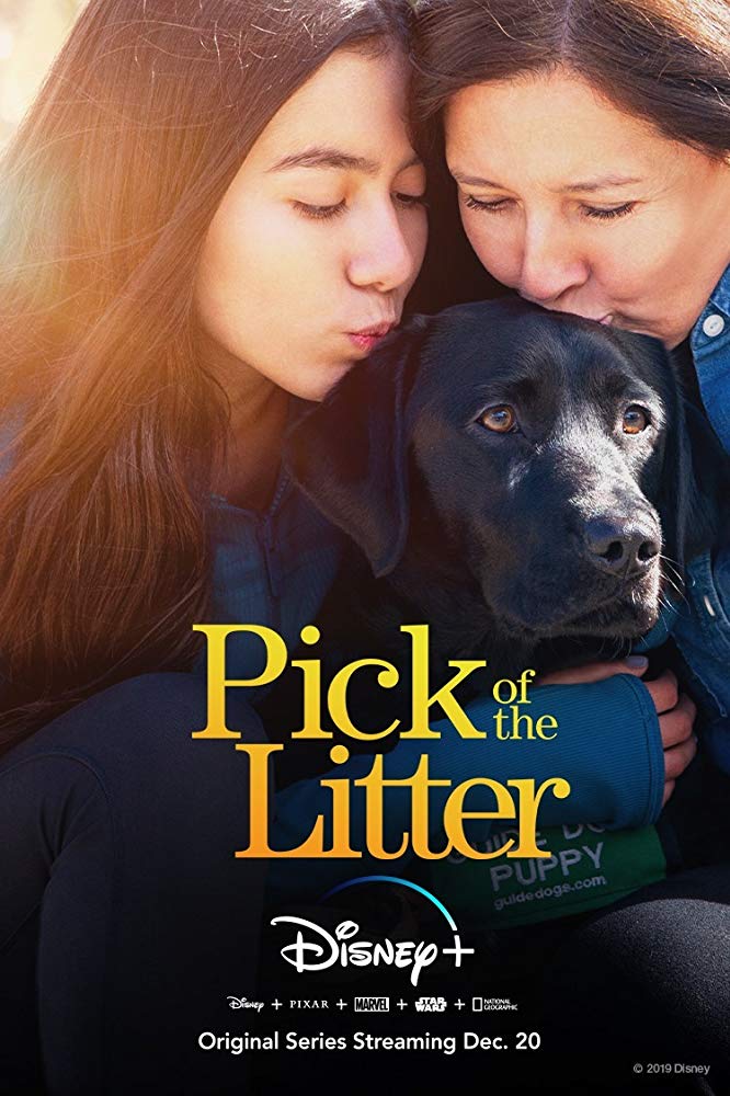Poster of Pick Of The Litter