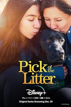 Poster of Pick Of The Litter