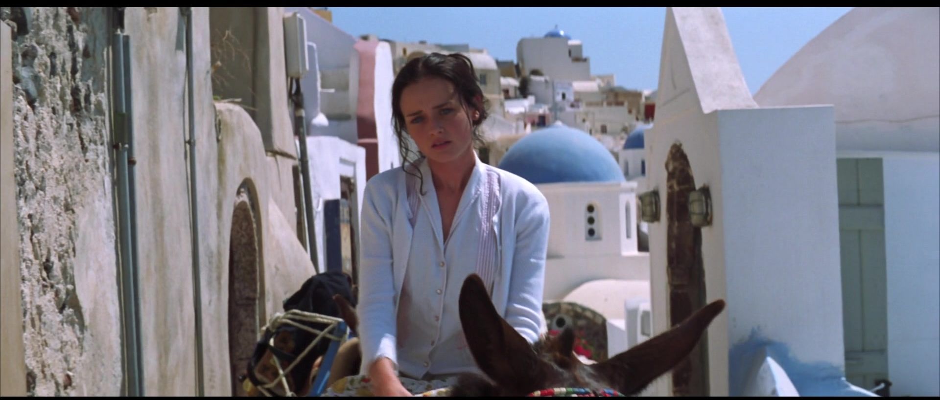 Legenda ausente na foto.