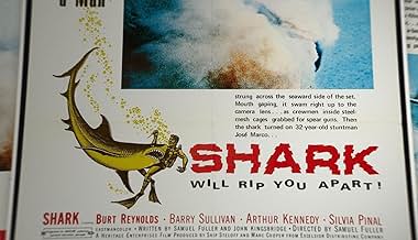 पोस्टर देखें