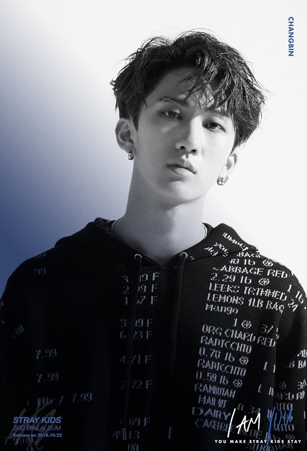 Stray Kids: I Am You (2018)