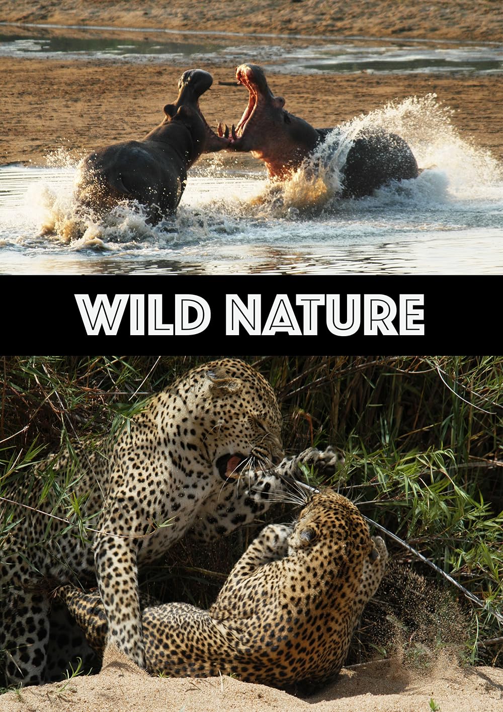 その他 Nature: The Endangered Wild [DVD] A1wC-FFedRL._UF350,350_QL50_.jpg
