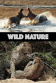 Primary photo for Dung Beetles' and their balls