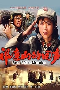 Primary photo for The Echo of Qi Lian Mountain