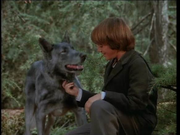 Little House On The Prairie No Beast So Fierce www.imdb.com