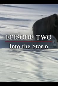 Primary photo for Into the Storm Primary photo for Into the Storm