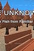 Primary photo for The Unknowns: Strange Fish from Familiar Waters