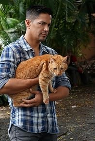 Primary photo for The Cat Who Cried Wolf