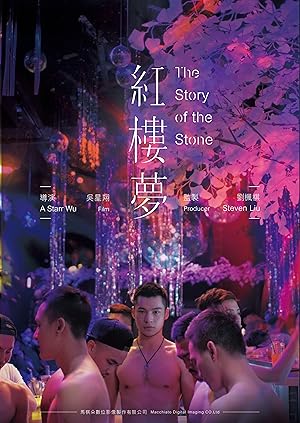 The Story of the Stone Poster