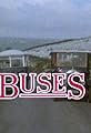 Buses's primary photo