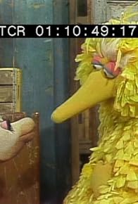 Primary photo for Big Bird doesn't want to be a bird Primary photo for Big Bird doesn't want to be a bird
