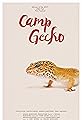 Camp Gecko's primary photo