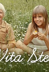 Primary photo for Den vita stenen Primary photo for Den vita stenen