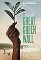 The Great Green Wall's primary photo