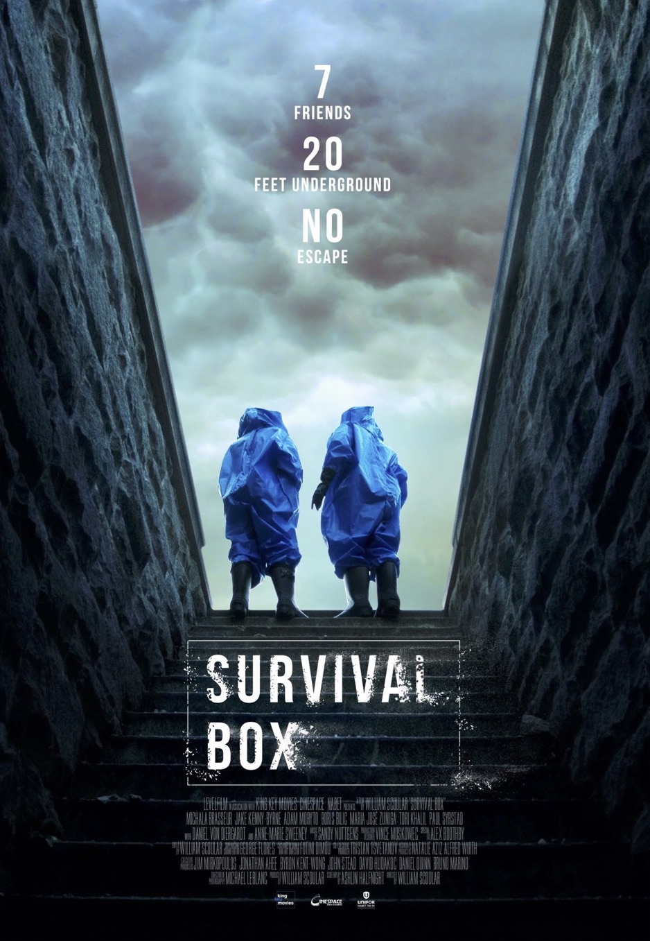 Poster of Survival Box