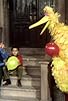 Primary photo for Big Bird discovers balloons