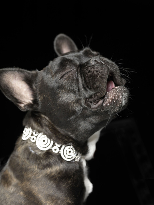 Mightie Louis Greenberg